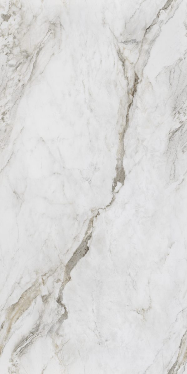 BLAXILL-WHITE_R3.jpg