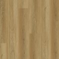 Elm-Amber-2.jpg