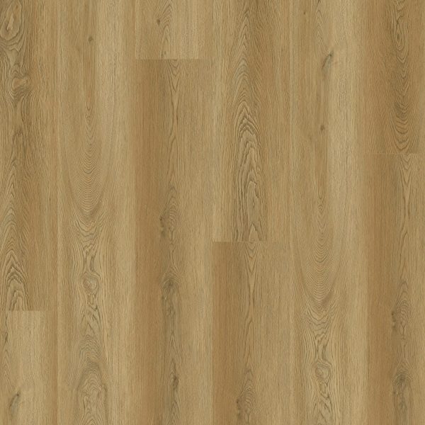 Elm-Amber-2.jpg