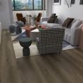 Elm-Shadow-1-1.jpg