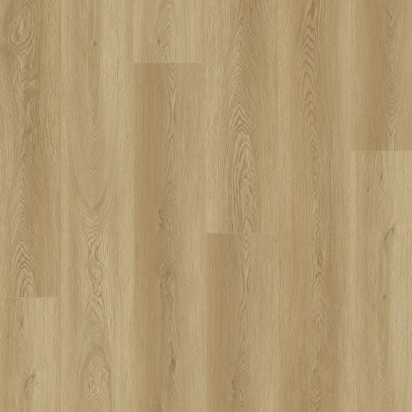 Elm-natural-2.jpg