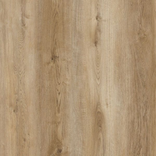 wood_full-image.jpg